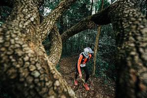 BIB: 
                            <button type="button" onclick="openModal(25393296)" class="btn btn-primary btn-sm float-right btn-popup" data-toggle="modal" data-target=".modal-high-quality">
                        <i class="fas fa-shopping-cart"></i> Add to Cart
                    </button>
                                            <button type="button" onclick="isThisMe(25393296, true)" class="btn btn-success btn-sm float-right btn-popup btn-isme hidden" data-toggle="tooltip" data-placement="bottom" title="นี่คือรูปของคุณใช่ไหม คลิกที่นี่เพื่อเอาเข้าอัลบั้ม">
                        <i class="fas fa-plus"></i> Add to album
                    </button>
                    <button type="button" onclick="isThisMe(25393296, false)" class="btn btn-warning btn-sm float-right btn-popup btn-isnotme hidden">
                        <i class="fas fa-ban"></i> Remove from album
                    </button>